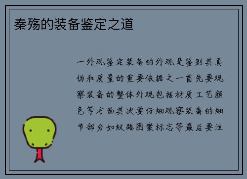 秦殇的装备鉴定之道